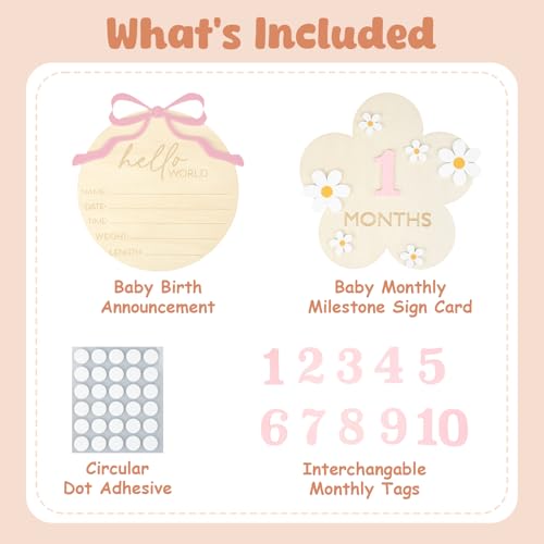 Image of Wooden Baby Announcement Sign & Baby Monthly Milestone Sign Set, Birth Announcement & 1-12 Months Interchangeable Discs for Newborn Girls Photo Props (Pink Numbers)