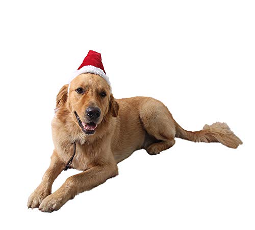 BT Bear® Weihnachtskostüm für Hunde und Katzen, Weihnachtsmütze für Welpen, Kleine, Mittelgroße und Große Hunde