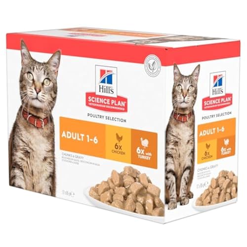 Produktbild von Hill's Science Plan Adult Truthahn und Huhn Katzenfutter - 12 x 85 g