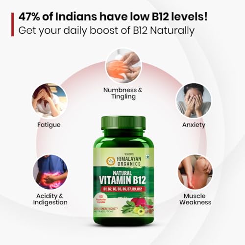 Vlado's Himalayan Organics Plant Based Vitamin B12 Supplement | B1,B2,B3,B5,B6,B7,B9,Moringa| Boost Energy Level | For Memory, Brain, Heart & Nervous System Support | B12 supplement for Men & Women - 120 Veg Capsules