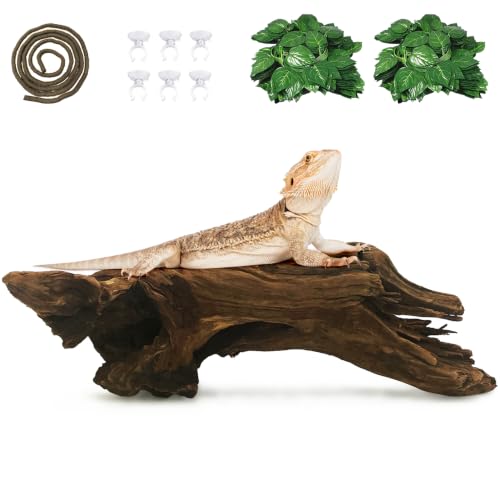 Hamiledyi Reptile Driftwood Branch for Terrariums