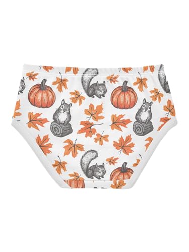 ZZKKO Maple Leaf Pumpkin and Squirrel Girls Underwear Toddler Panties for Girls Comfort Brief Size 2T2