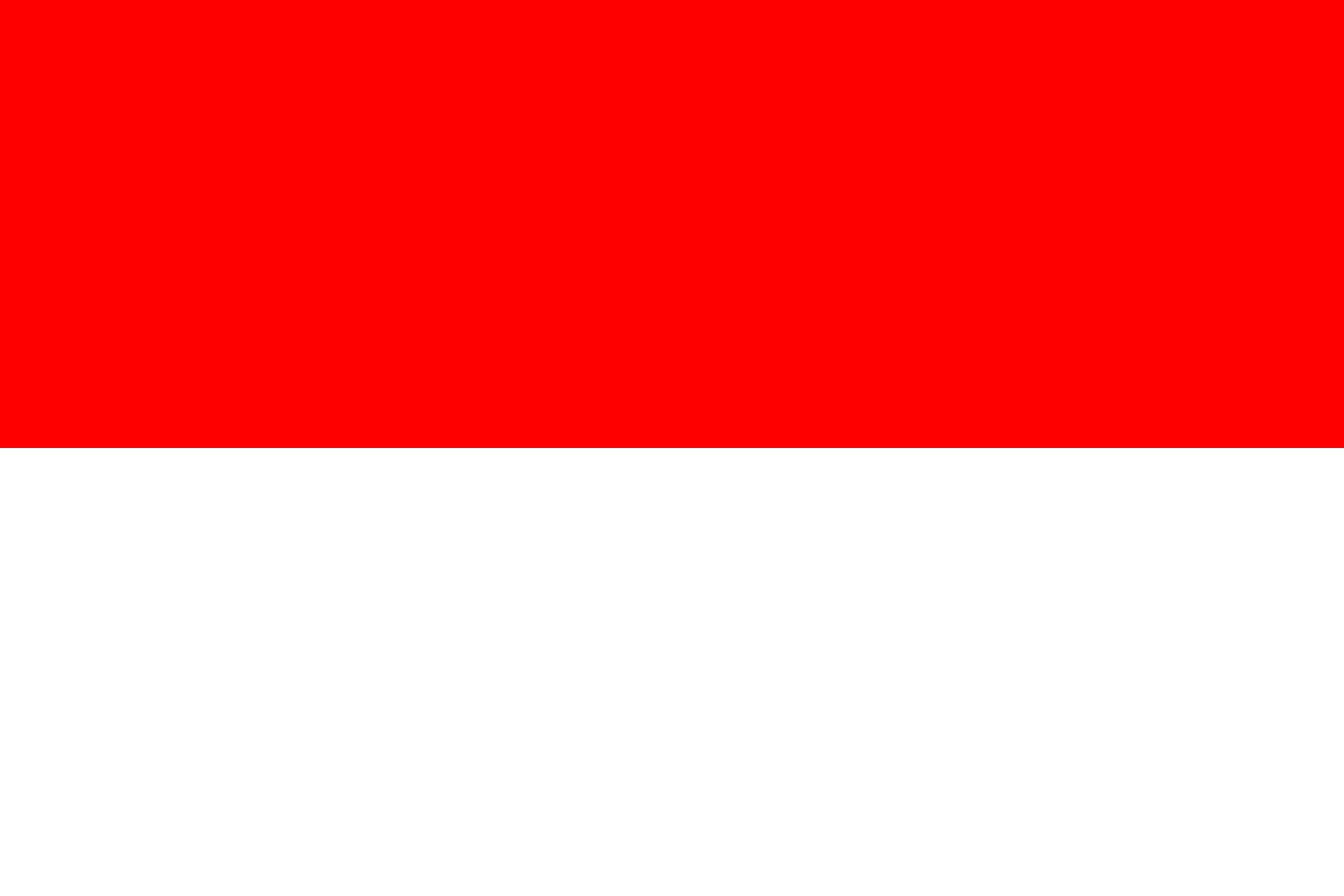 Drapeau Rionegro Santander grand pavillon extérieur Colombie