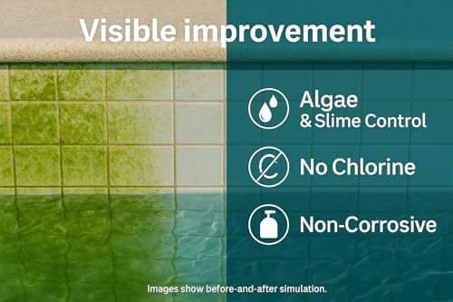 Image of Heavy Duty Algaecide | Chlorine Free | Safe on Skin & Eyes | removes Algae 100% Effectively | use for Swimming Pool, Ponds, Cooling Tower, Cold Storage, Fish Tank.