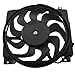 OYEAUTO Radiator Cooling Fan Assembly 620650 Compatible with 1997 1998 1999 2001 Jeep Cherokee 4.0L