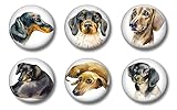 Dachshund Locker Magnets Wiener Dogs 1.75 inch for Fridge or Whiteboard Doxie Badges Celebration Party Favors Supplies Accessories Cute Dauchshunds