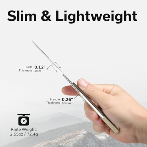 CIVIVI Varius Fixed Blade Knife with a Kydex Sheath, a Finger Ring and Conventional Handle, Full Tang Knife with 3.26" D2 Blade G10 Handle for Men Women C22009D-2