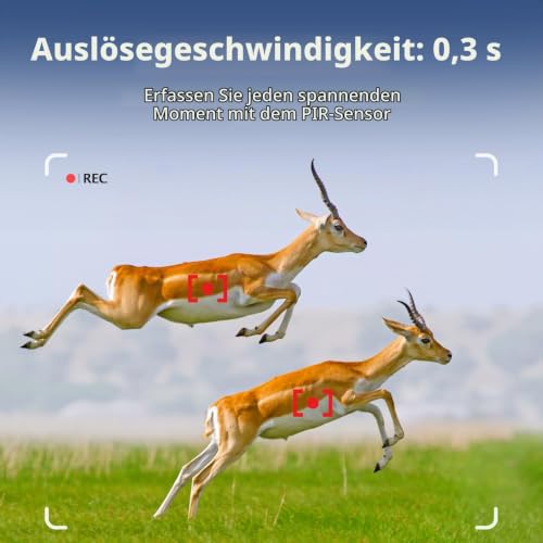 BlazeVideo 64MP Wildkamera Nachtsichtkamera Wildtier Kamera mit 1296P H.264 MPV Video...