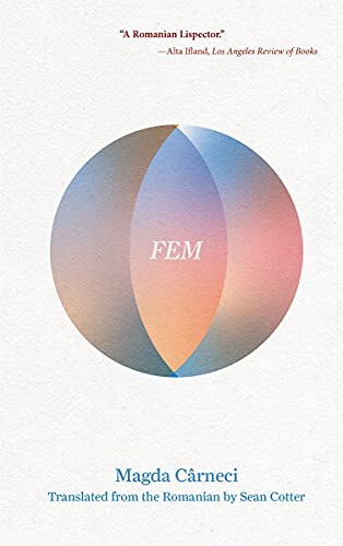 Fem view 2