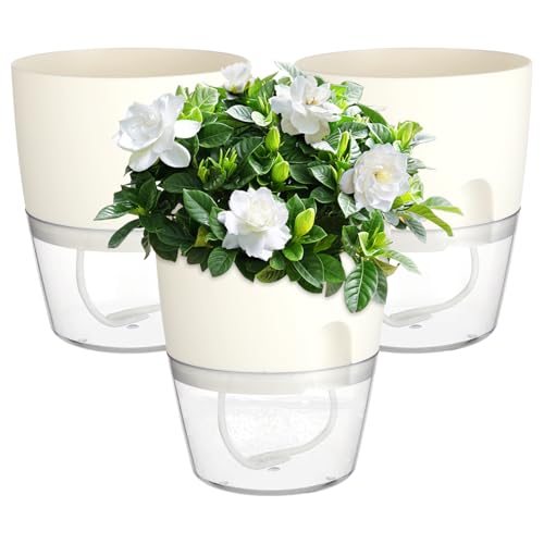 Windfromort Vaso per Erbe Set da Cucina per Erbe Autoirrigante - Set da Cucina e Balcone, Vaso in Plastica con Sistema di Irrigazione per Erbe Aromatiche Fresche, Davanzale Finestra Camera da Letto