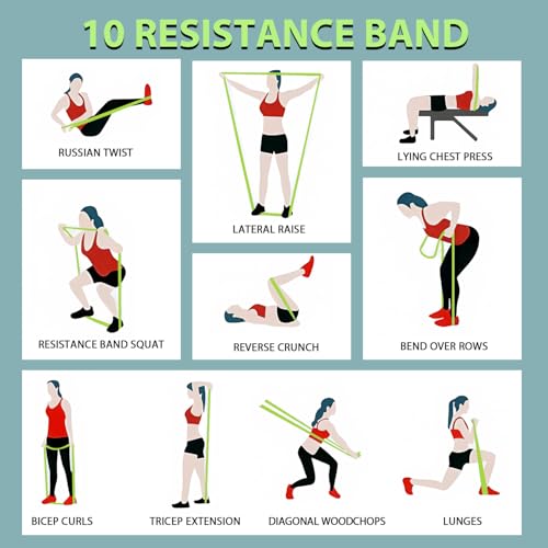 Image of LEEKEY Pull Up Assistance Bands,5-125LB Resistance Bands with Grip、Door Anchor、Gym Bag - Exercise Bands for Full-Body Training, Fitness, Physical Therapy -USA Original Patent