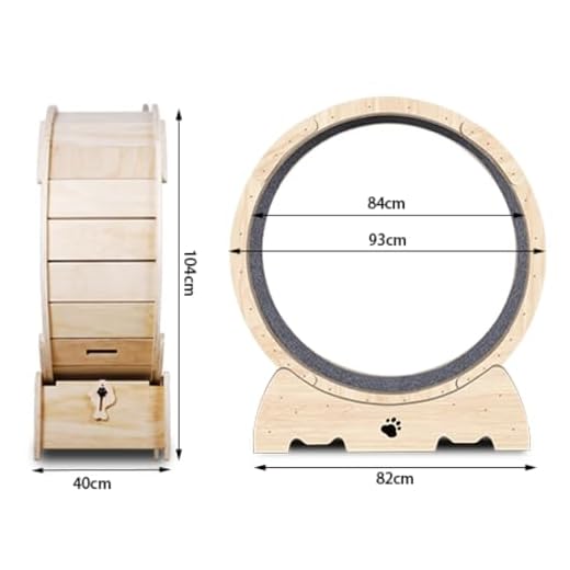Silent Indoor Cat Exercise Wheel
