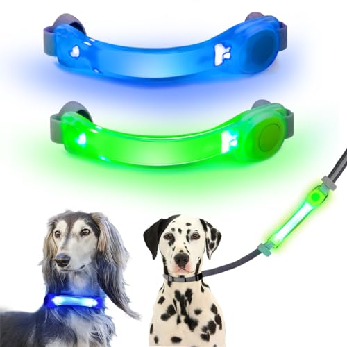 Collier lumineux pour chien étanche à LED phosphorescente haute visibilité pour harnais