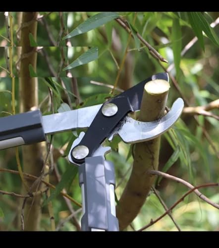 Image of SK Organic Professional Ratchet Anvil Lopper with Compound Action, Sturdy Telescopic Handles with Extra Leverage, Garden Pruning Tree Hedge Branch Cutter Garden Lopper (Bypass 50cm Looper)
