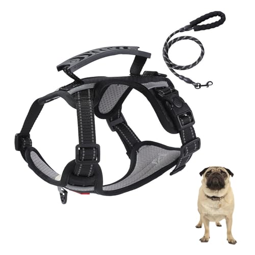 Ȃpn[lXA5tB[ǧp[VZbgtA˒߉\ŉKȃybgp`FXgA^A^A^ALp̒߉\ȃ\tgpbhybgxXg,,XS