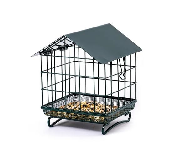 Caged Ground Bird Feeder – Large Bird Proof Wild Bird Feeder with Secure Lid, Heavy Duty Metal Cage, Easy to Fill & Clean, Ideal for Garden Ground Feeding Birds