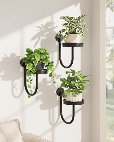 Bamworld Hanging Planters for Indoor Plants Wall Plant Holder Plant Hanger Indoor Wall Planters Window Plant Shelves Hanging Plant Holder Window Plant Hanger Plant Decor Black 3pcs