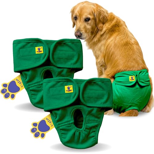 Image of A+a Pets' MAA' Cotton Dog Underwear Diaper Combo - Stretchable, Comfortable, Washable & Reusable (XL, Green Set)