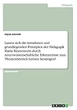 GRIN Verlag