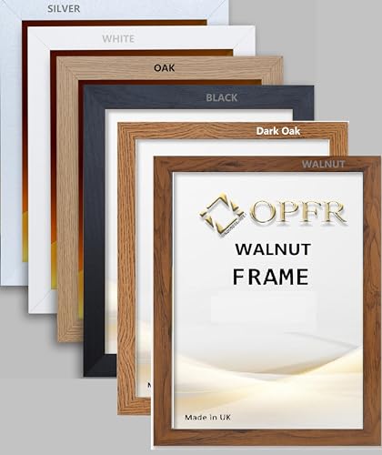 OPFR Premium Quality Poster Photo Picture Frames (Black 18 x 12 inch)