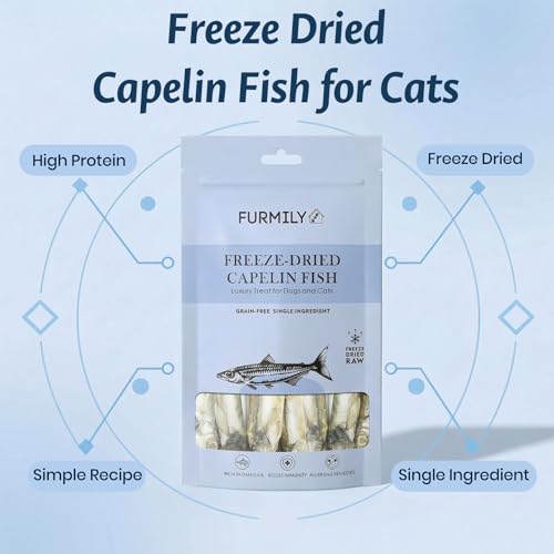 FURMILY Cat Treats Freeze Dried Fish for Cats, Freeze Dried Capelin Fish Treats for Dogs (40g), 100% Capelin Fish, Rich Protein, No Additives, Easy Digestion for Cats and Dogs