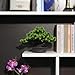 yoerm Artificial Bonsai Tree Fake Plants for Home Decor, Living Room Bathroom Bookshelf Entryway Table Wall Shelf Modern Farmhouse Decor, 9.5