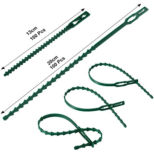 Cinta ajustable para plantas 200 piezas WILLBOND miniatura 2