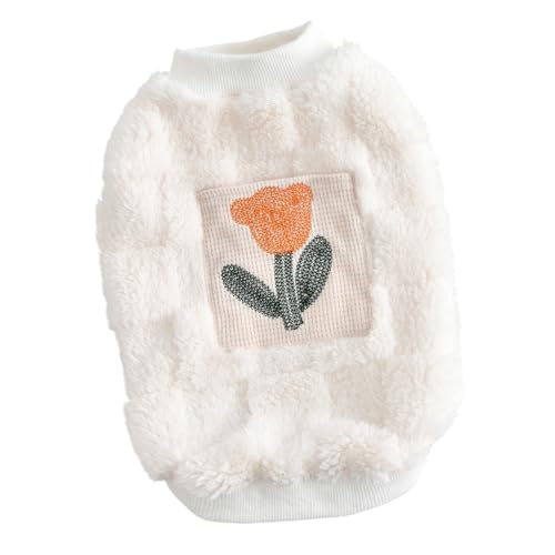 Beanspet   ~ t[X ^ ^ p EFA t[hJ m  킢 N ybg (AC{[, L)