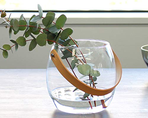 Amazon｜ホルムガード(Holmegaard) ポット 16cm クリア Pot 4343518 