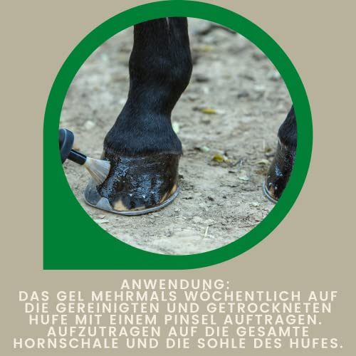 Foto von EMMA Huffett Pferde - Hufgel grün 500 ml Hufsalbe für Pferde I Hufbalsam I Erhalt Starke Hufe Pferd I Huffestiger I Hufcreme gegen rissige trockene Hufe I Hufpflege & Pferde Zubehör Hufwachstum
