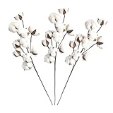 Photo Gallery ultechnovo 3 pezzi steli di cotone teste filler per decorazioni casa ghirlande e matrimoni simulazione naturale per composizioni personalizzate Photo Gallery ultechnovo 3 pezzi steli di cotone teste filler per decorazioni casa ghirlande e matrimoni simulazione naturale per composizioni personalizzate