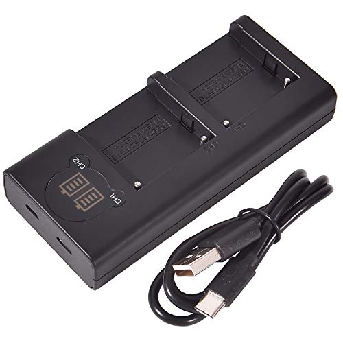 DSTE Dual USB Cargador con Pantalla LCD para NP-FM55H NP-FM50 NP-FM30 NP-FM51 NP-QM50 NP-QM51 y Sony CCD-TR208 CCD-TR408 CCD-TRV108 CCD-TRV116 CCD-TRV118 CCD-TRV126 CCD-TRV128 Cámara