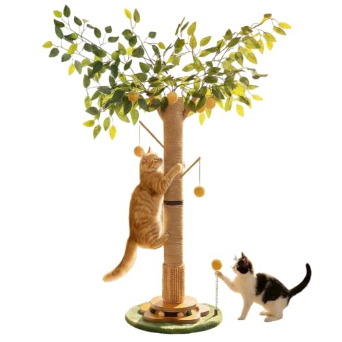 DOKKOME Kratzbaum für Katzen Kratzstamm mit Kratzsäul Interaktiven Baumelnden Bällen Spielzeug für Indoor Katzenkratzbaum Kätzchen und Katzen (104 cm)
