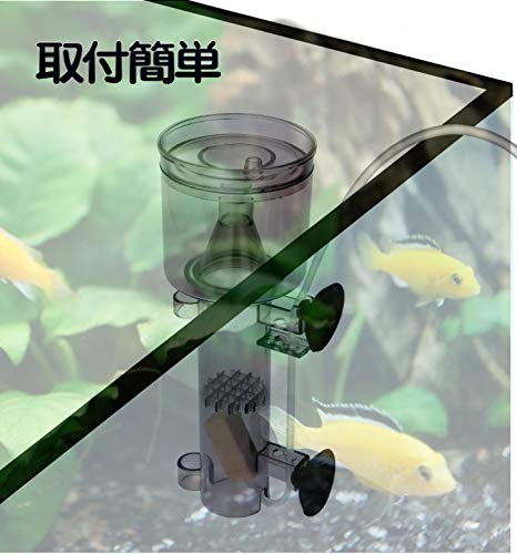 Amazon | 海水魚 生体 チャーム 海水 海水魚飼育用 プロテインスキマー