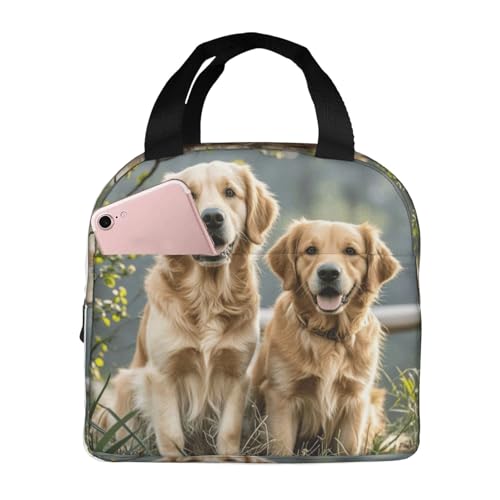 MXDLKSWPOH Lonchera para mujeres y hombres, lonchera aislada Golden Retrievers para picnic y viajes