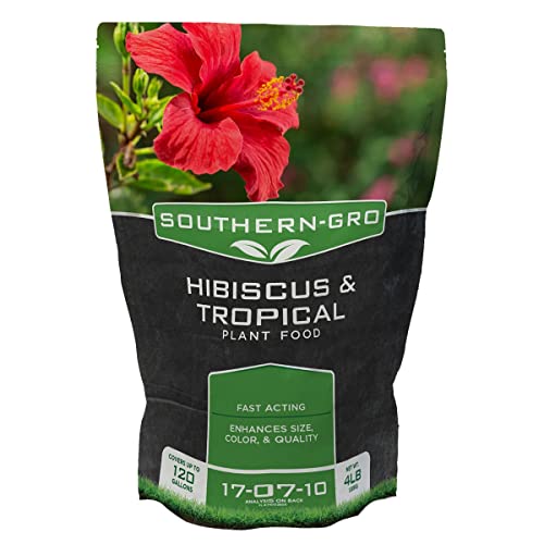 10 Best Hvh Hibiscus Fertilizer Recommended by an Expert