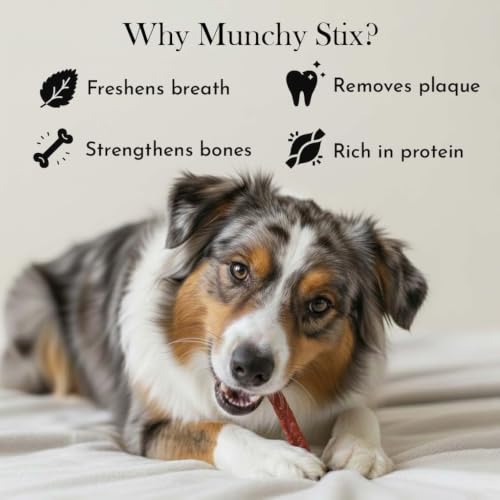 Image of PETS EMPIRE Munchy Stix Dog Treats, Chicken | Mutton Flavour Chew Sticks | Healthy Reward Treats for Dogs | High Protein Daily Chews (500 G, Mutton, Pack of 1)