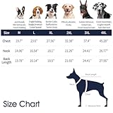 Zoom IMG-1 iecoii felpa con cappuccio per Zoom IMG-1 iecoii felpa con cappuccio per