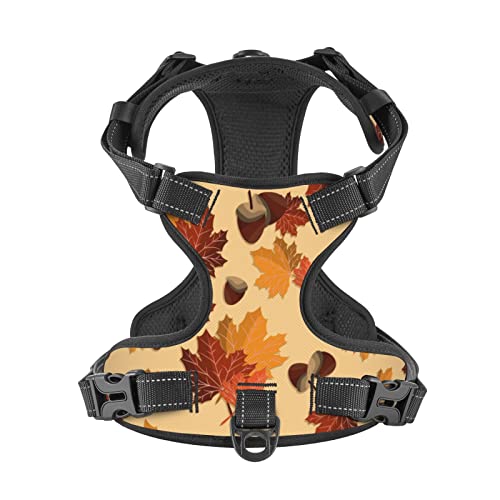 Dog Harnesses for Fall