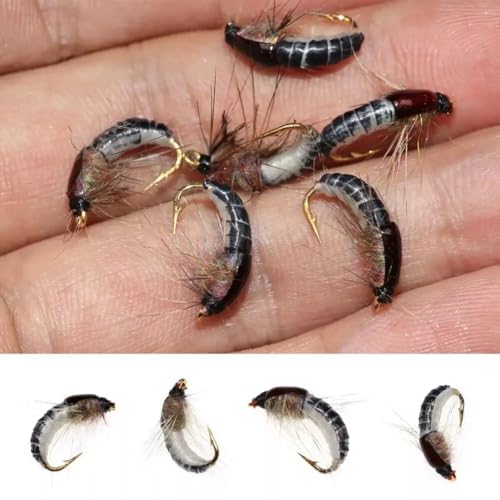 Fly Fishing Scud Nymph 6Pcs White Feather Trout Fishing Fly Lure Black Shell