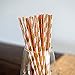 Blush Pink & Gold Party Straws - 25 Pack - Metallic Gold Striped Paper Straws, Peach Accents - Elegant Disposable Straws for Bridal Showers, Weddings, Birthdays, and Party Decorations