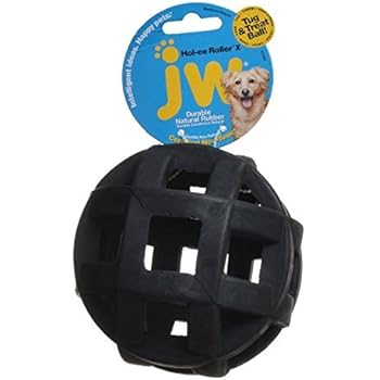 holee dog ball