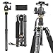 JEIFN 60"Leichtes Stativ für Kamera und Telefon, tragbares Aluminium-Reisestativ mit Einbeinstativ und 360-Grad-Kugelkopf 1/4 Zoll Schnellwechselplatte und Telefonhalter für Vlog-Reisen und Arbeiten