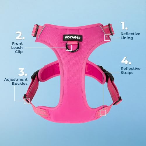 Image of Voyager Dog Harness Dual Leash Attachment No-Pull Control Adjustable Soft but Strong Pet Harness for Medium and Large Dogs with 3M Reflective Technology, Leash Set Fuchsia Nylon, S (Chest: 16-20 inch)