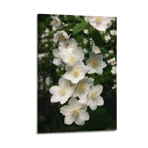 Poster mural plantes blanches ZHOUKEG une touche de poésie pour vos murs
