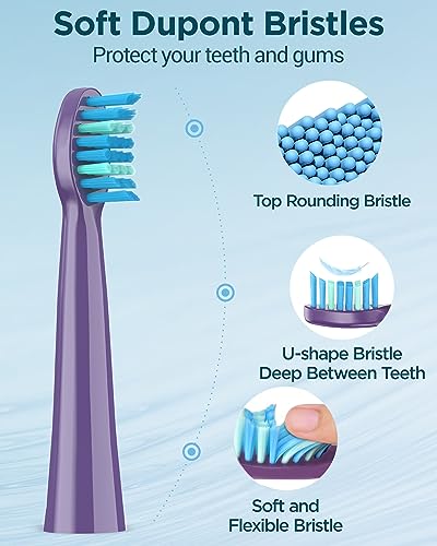Image of Sonic Electric Toothbrush for Adults and Kids - Rechargeable Sonic Toothbrush with 8 Brush Heads, 120 Days of Use with 3-Hour Fast Charge, 5 Modes with 2 Minutes Built in Smart Timer, Gift for Family