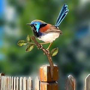 Metal Bird Decoration, Courtyard & Garden Decoration, Fence & Tree Branch Decoration, Wall Art, Blue & Yellow, Rustic Style, All Seasons Metal Bird Decoration Courtyard Garden Decoration Fence Tree Branch Decoration Wall Art Blue Yellow Rustic Style All Seasons