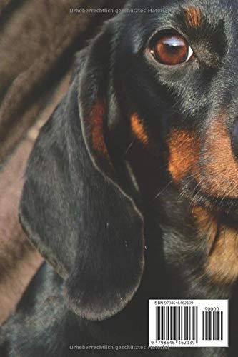 Süsse kleine Hundewelpen: Hundetraining-Hunde-Planer.To-Do-Liste Planer A5 6x9 Format.Geschenk für alle Hundeliebhaber/innen oder zu Weihnachten,Valentinstag,Geburtstag,Neujahr