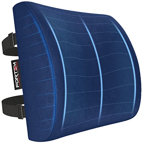 FORTEM Lumbar Support Office Chair, Lumbar Support Pillow for Car