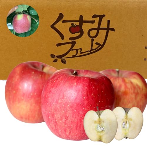 X ytƂ炸Tӂ MtgpzTkg n tARTGWF p Ε ̂V[Ή _ƒc ܕsgp Â  ь ʕi݃t@[ tART uhjiTkgj